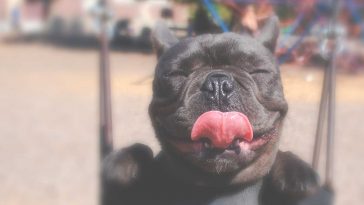 quản lý thời gian hiệu quả | cách tập trung chống xao nhãng trong công việc